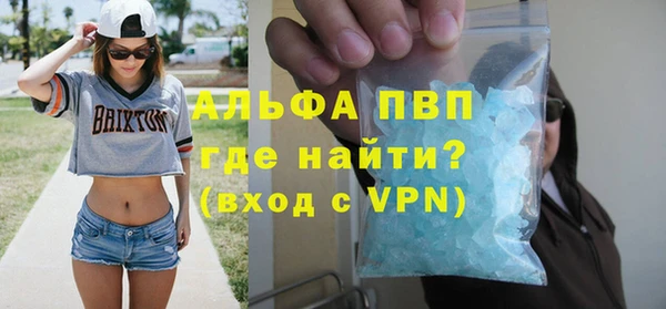 стаф Аркадак