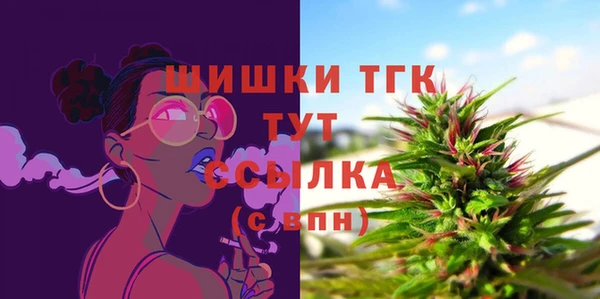 амф Арсеньев