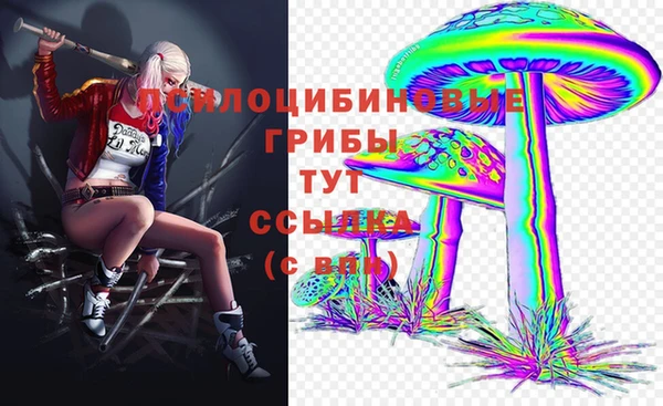 амф Арсеньев