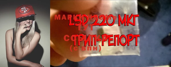 стаф Аркадак