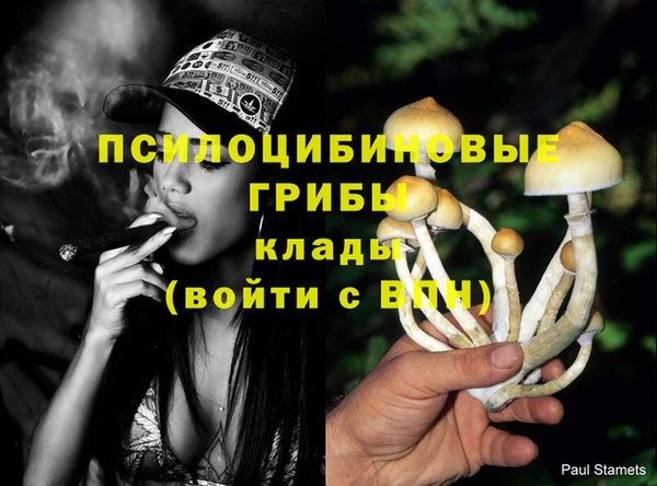 амф Арсеньев
