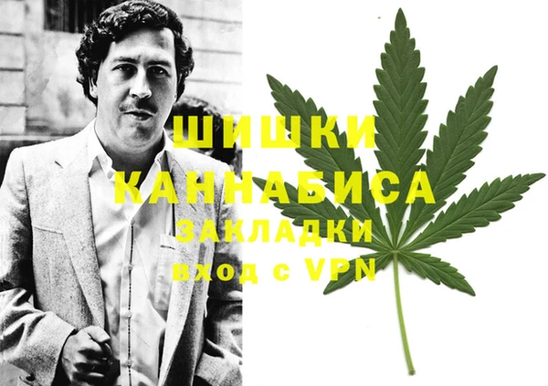 амф Арсеньев