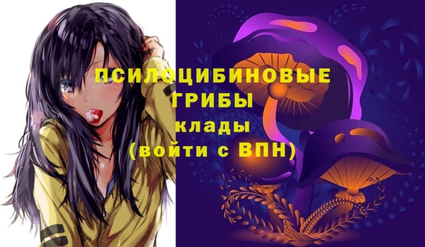 амф Арсеньев