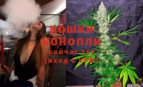 амф Арсеньев