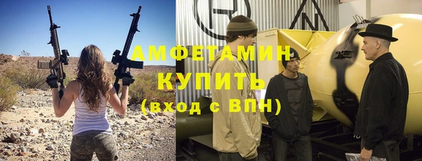 стаф Аркадак