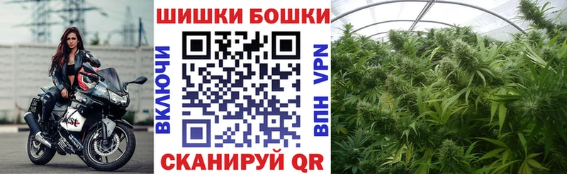 Шишки марихуана план  kraken как зайти  Опочка 